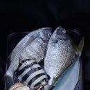 청산도올레펜션 이미지