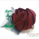 조세핀플라워