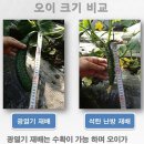 광열 농장 이미지