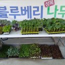 봉계농약사 이미지
