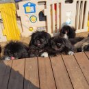 브리더하우스 이미지