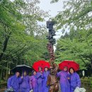 여유 | 제주도 스타리아 대절 기사포함 운전 없이 더 여유로웠던 제주 여행 후기