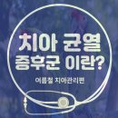 치과의원 정보 모르겠다면