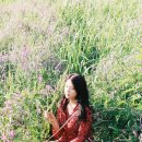 청인사