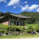거창-위천-2 | 25년 8월 거창여행, 함양 영각사, 월성 계곡, 위천 장터길감자탕, 함양 거연정