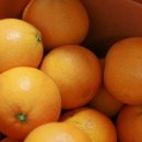 동준농장 이미지