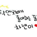 투빅스(주) Daum카페