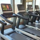 월드피아 헬스 이미지