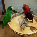 인천조류원 이미지