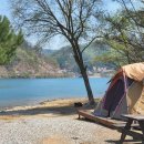 남이섬힐링캠핑장 이미지