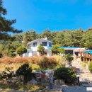 펜텔하우스 이미지