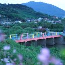 무점화장실 이미지