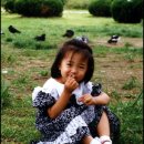 여우야 이미지