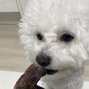 제이스맘마 이미지