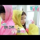 멍냥&꽁냥 네이버블로그