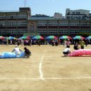 부평서초등학교 이미지