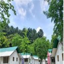 유명산둥지 이미지