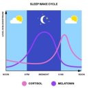 여성전용 24시 미사PT 필라테스 디펜스짐 이미지