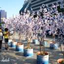 성신양회공업(주)