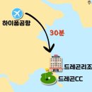 스테이 드레곤 이미지