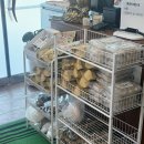 황태식당 | 강릉 정동진맛집 추천 정동진아침식사 이모네식당 황태정식 후기