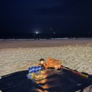 대천해수욕장 &#39;아도니스 펜션&#39; 후기 (추천!!)