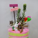 행복한 밥상(임실시니어클럽) 이미지