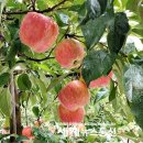 매현농장 이미지