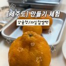 제주여행 만들기 체험 추천 | 감귤청•과일찹쌀떡 만들기 후기 [무릉외갓집]