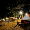 맹방비치캠핑장 이미지