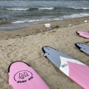 고양이동산 이미지