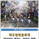 제주도 왕벚꽃 축제 이미지