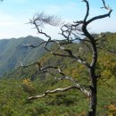 오봉산약수터 이미지