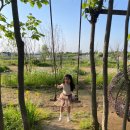 월가 농장 이미지