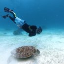 수치 선착장 | 보홀 호핑투어 후기 준비물 예약 꿀팁 총정리