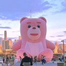 광장유통 이미지