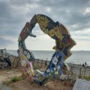 석양을 품은 물고기 이미지