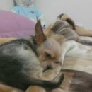 용담어린이집 이미지