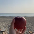 봉서농장 이미지