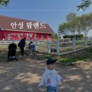 고봉민 김밥인(광장점 | [후기] 안성팜랜드 :: 21개월 아기랑 가볼만한 곳 | 동물 먹이주기 체험🐑