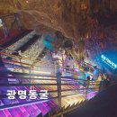 [어린이 공연개발 워크숍]  황금빛 언덕의 모험 | 광명동굴 아이랑 가볼 만한 곳 추천 입장료 할인, 주차정보