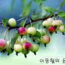 Again (우리 다시 만날때까지) - <b>Bing</b> Crosby (빙...