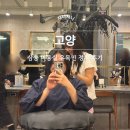 삼송제일약국 | 삼송 미용실 유목민 정착 후기 준오헤어 고양스타필드 은교쌤 커트 추천