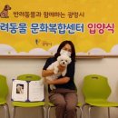 반려문화 이미지