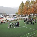 호랑이펜션 - 경주시 갈곡삼막길 43-187 | 호랑이펜션