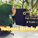 옐로우브릭로드(Yellow Brick Road)