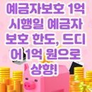 강화군산림조합 | 예금자보호 1억 시행일 예금자 보호 한도, 드디어 1억 원으로 상향! (feat. 9월 1일부터 적용)