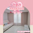 지엘유통 | 구미 신평지엘리베라움 아파트 커튼 & 허니콤 블라인드 시공 후기｜러블리 커튼&블라인드 💗