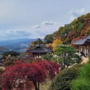 풍기소백산약국 이미지