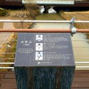 문종농장 이미지